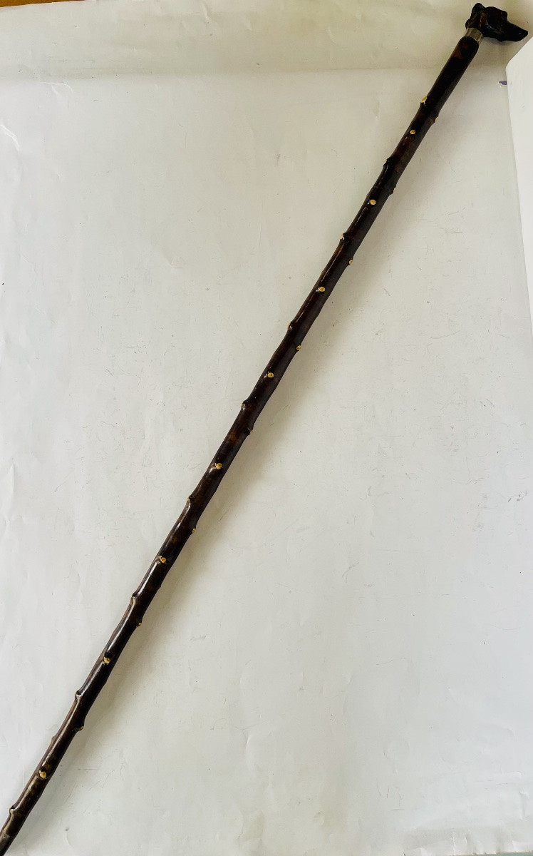 Canne de marche -photo-4